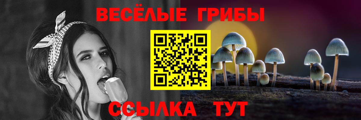 Сегежа  Галлюциногенные грибы прущие грибы  Вход с VPN 